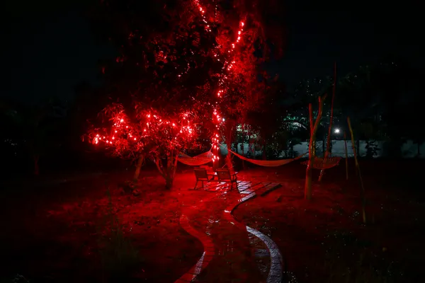 Hammock lit up at evening