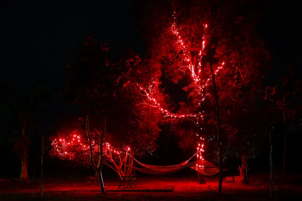 Hammock by the tree at night