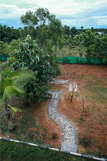 Hammock — west view