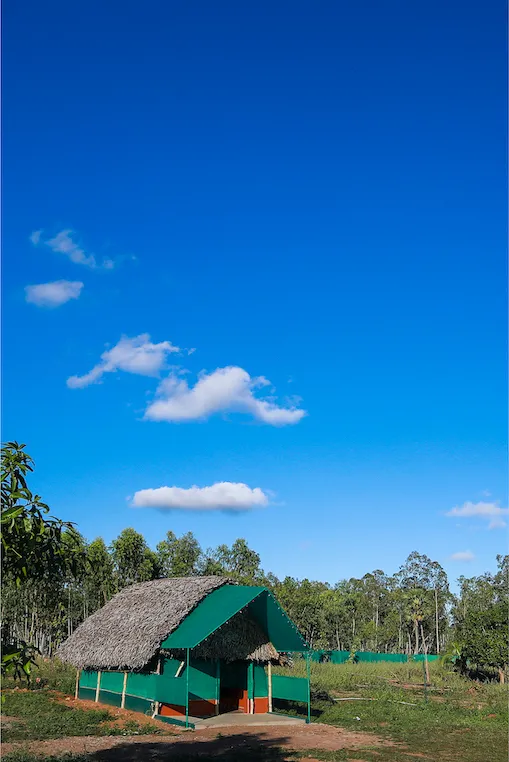 Hut — north-east view