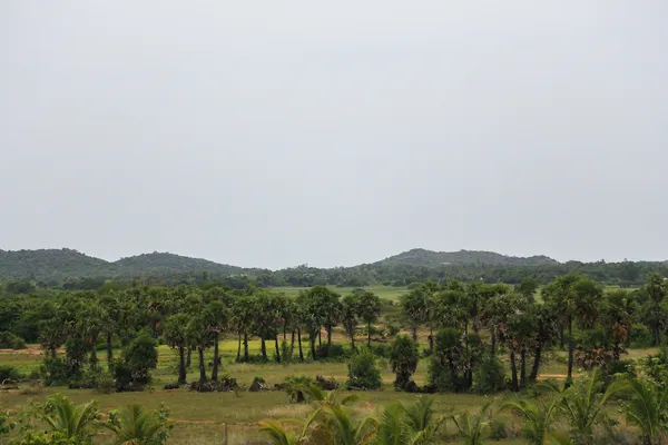 Oxyville — looking eastwards