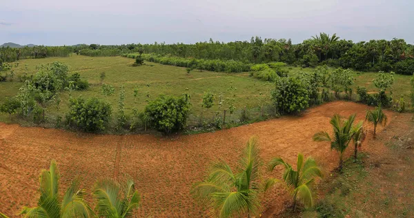 Oxyville — south-east lands