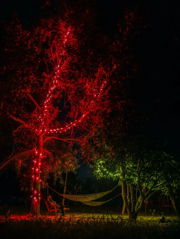 Red and green at Oxyville