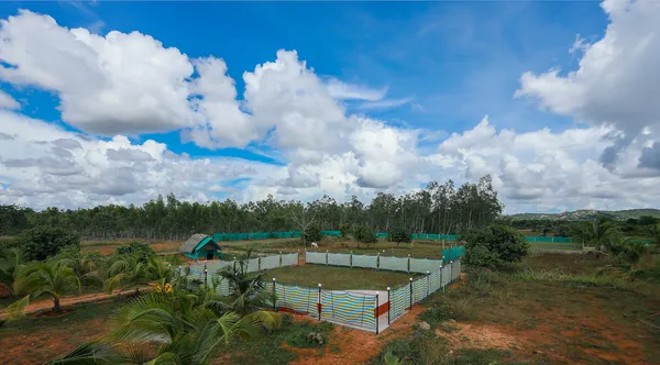 The Plaza — aerial view